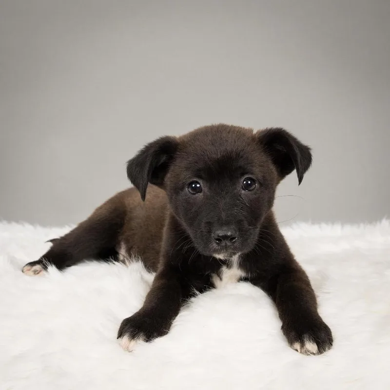 Sunshine thumbnail 3