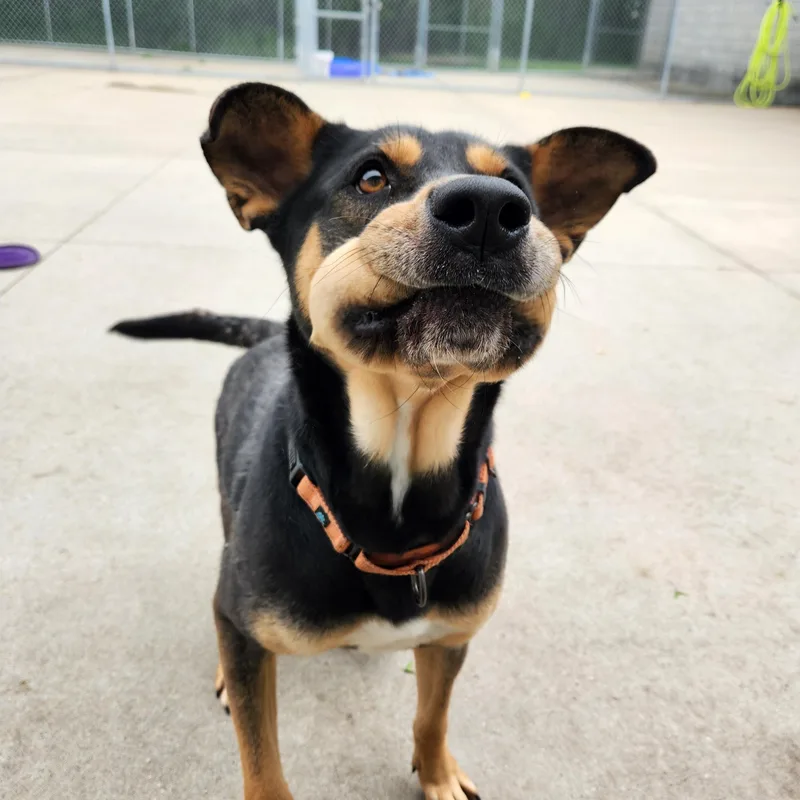 Rapunzel thumbnail 2