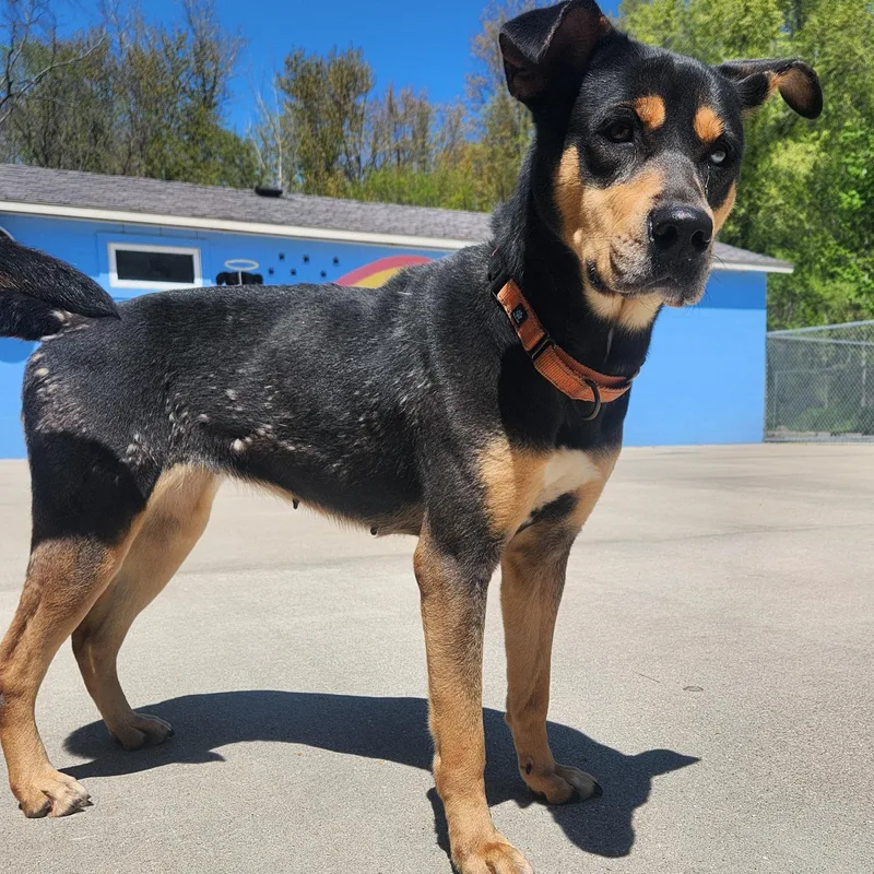 Rapunzel thumbnail 3