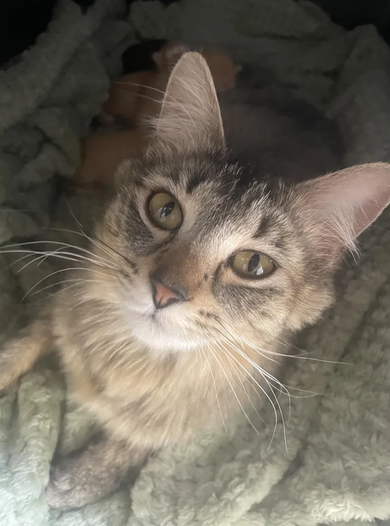 Rosie thumbnail 3