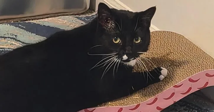 Crazy Girl thumbnail 2