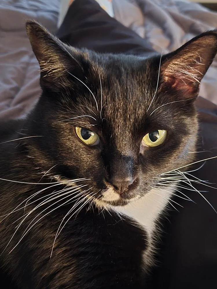 Crazy Girl thumbnail 3