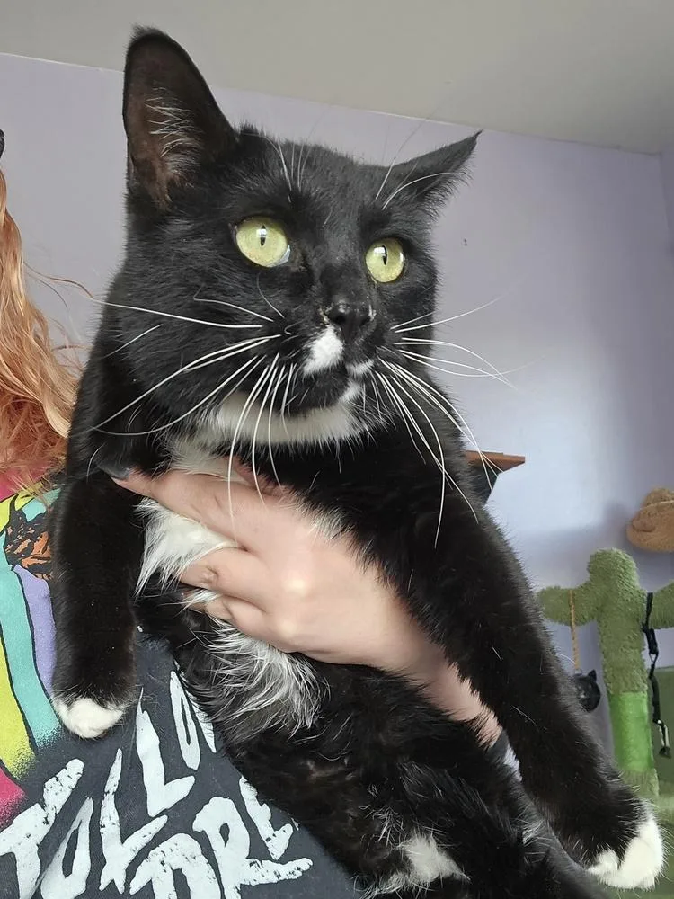 Crazy Girl thumbnail 4