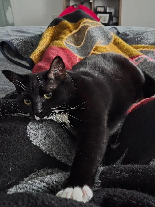 Crazy Girl thumbnail 5