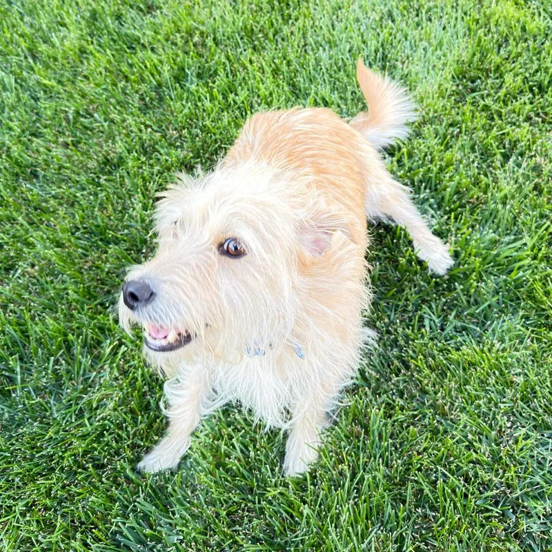 Milo