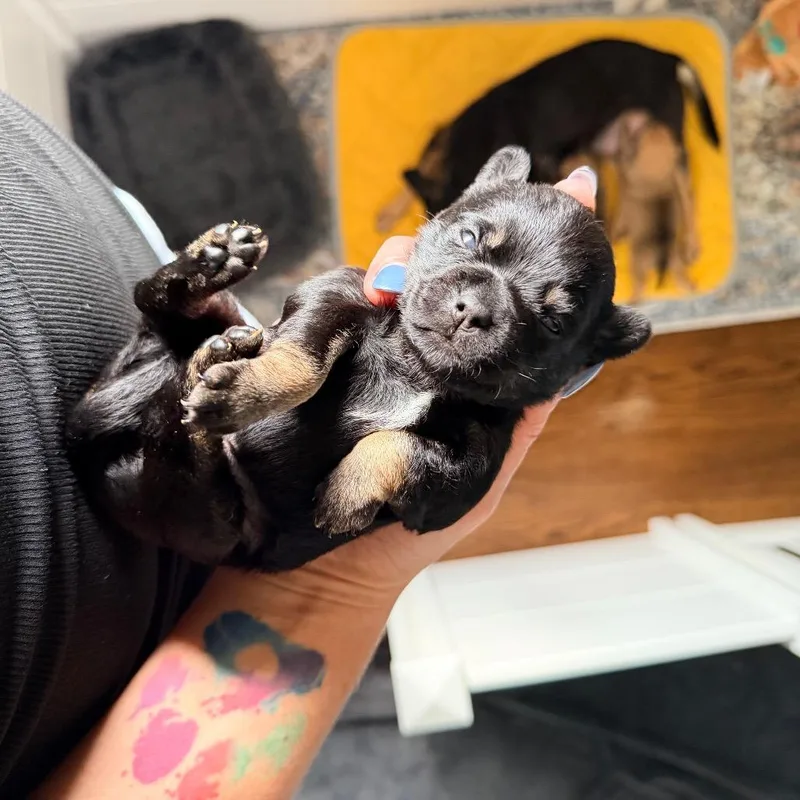 Margarita thumbnail 3
