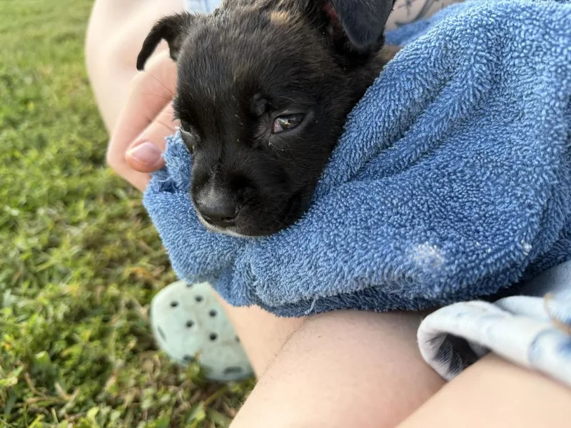 Itty Bitty