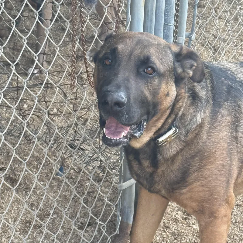 Fernando thumbnail 2