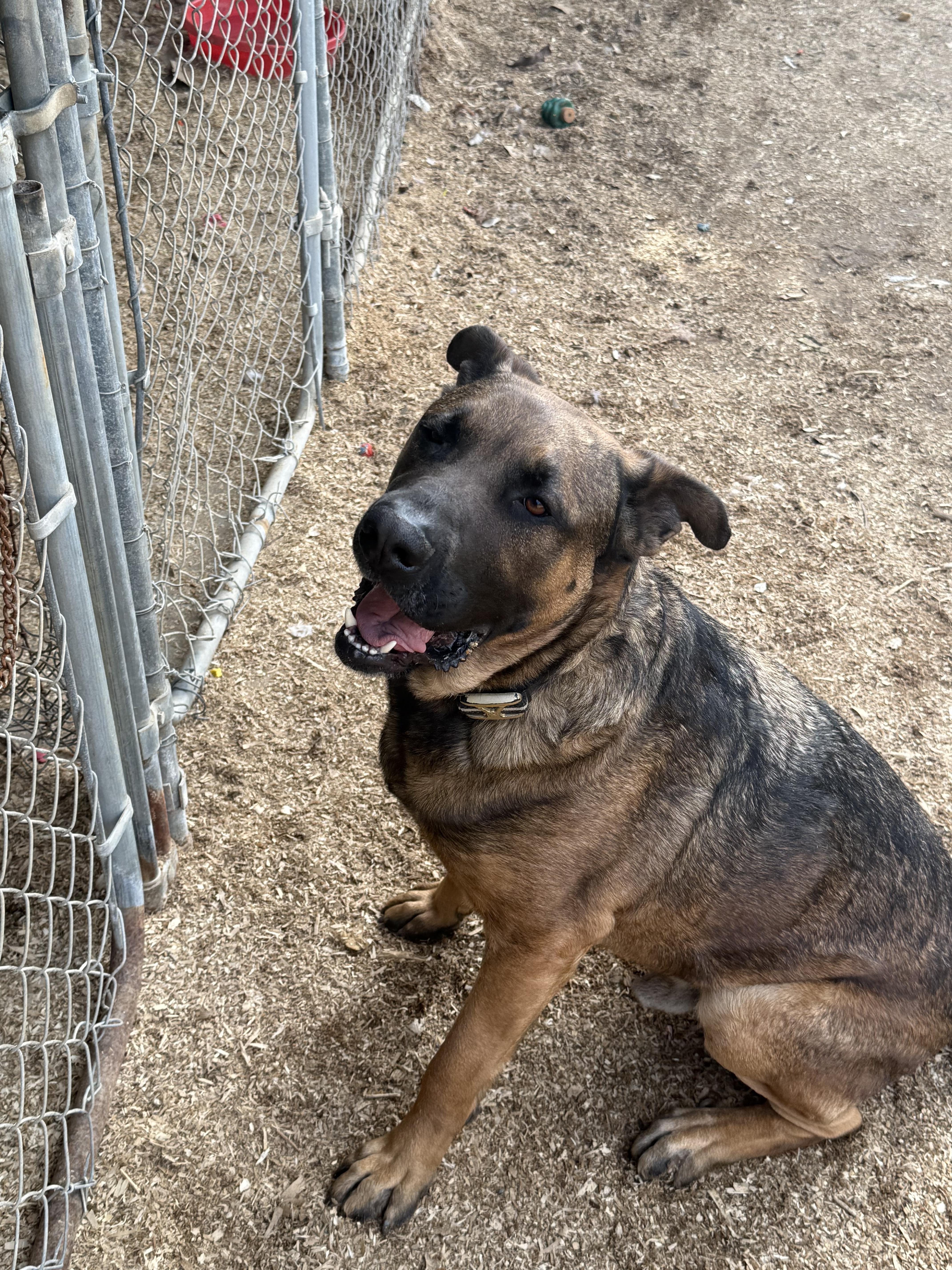 Fernando thumbnail 3