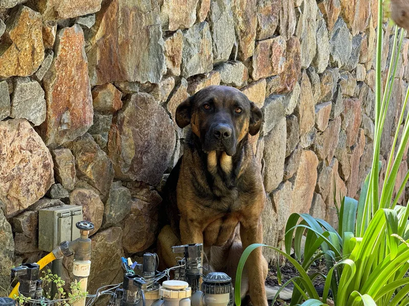 Fernando thumbnail 4