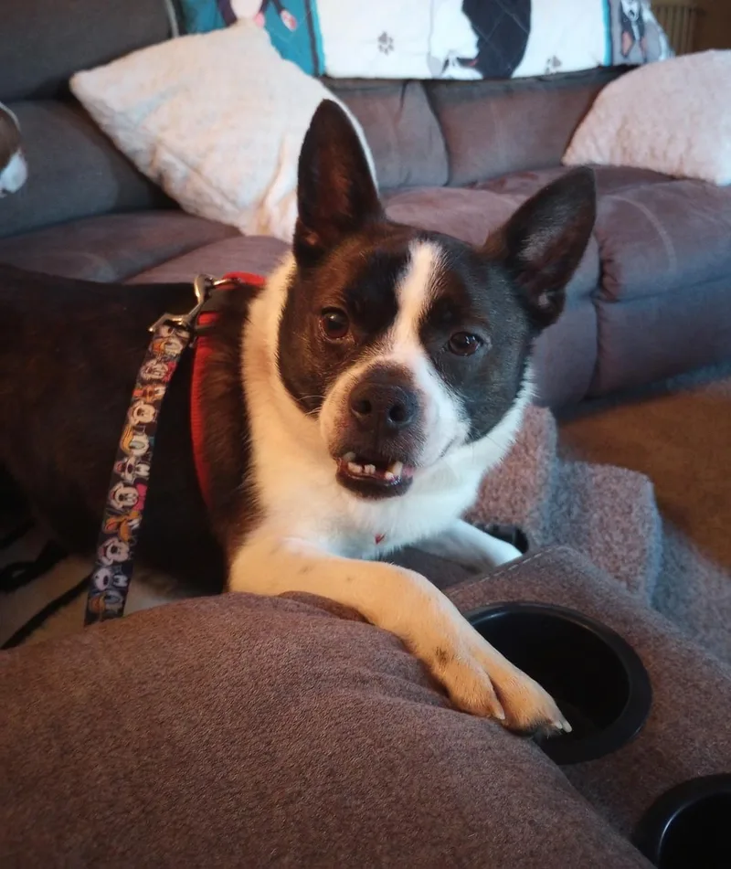Walter In Ks thumbnail 2
