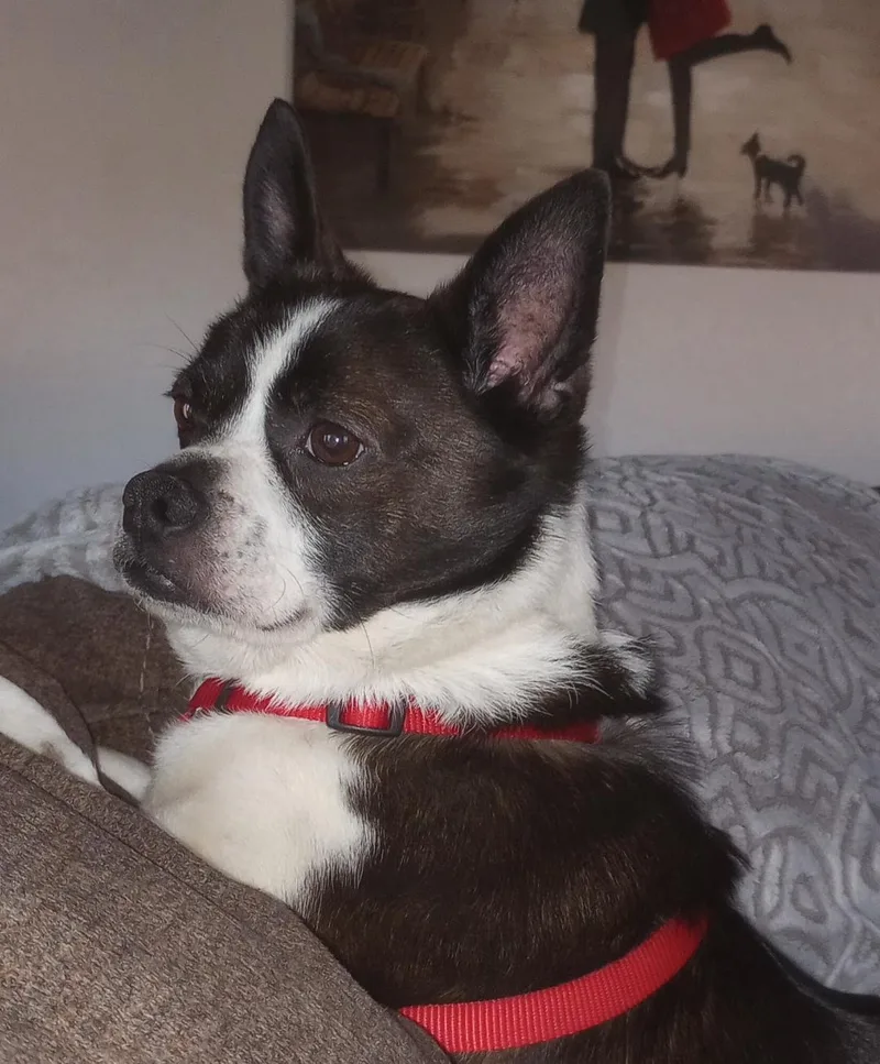 Walter In Ks thumbnail 3