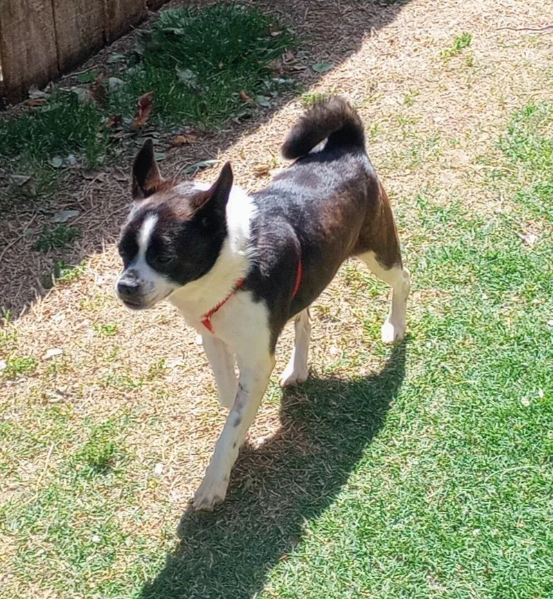 Walter In Ks thumbnail 4