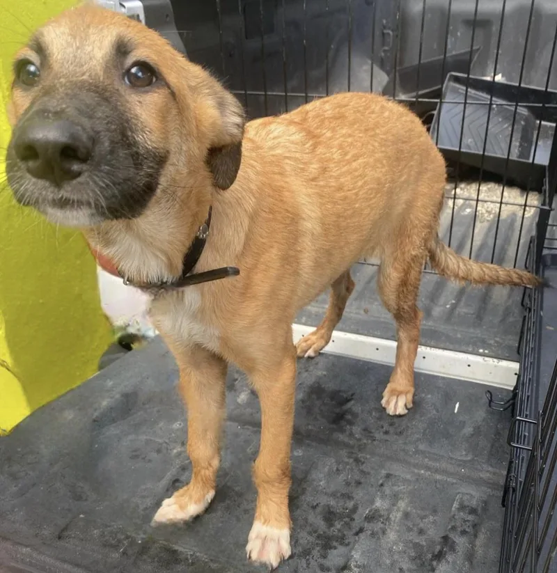 Lulit "i Want To thumbnail 2