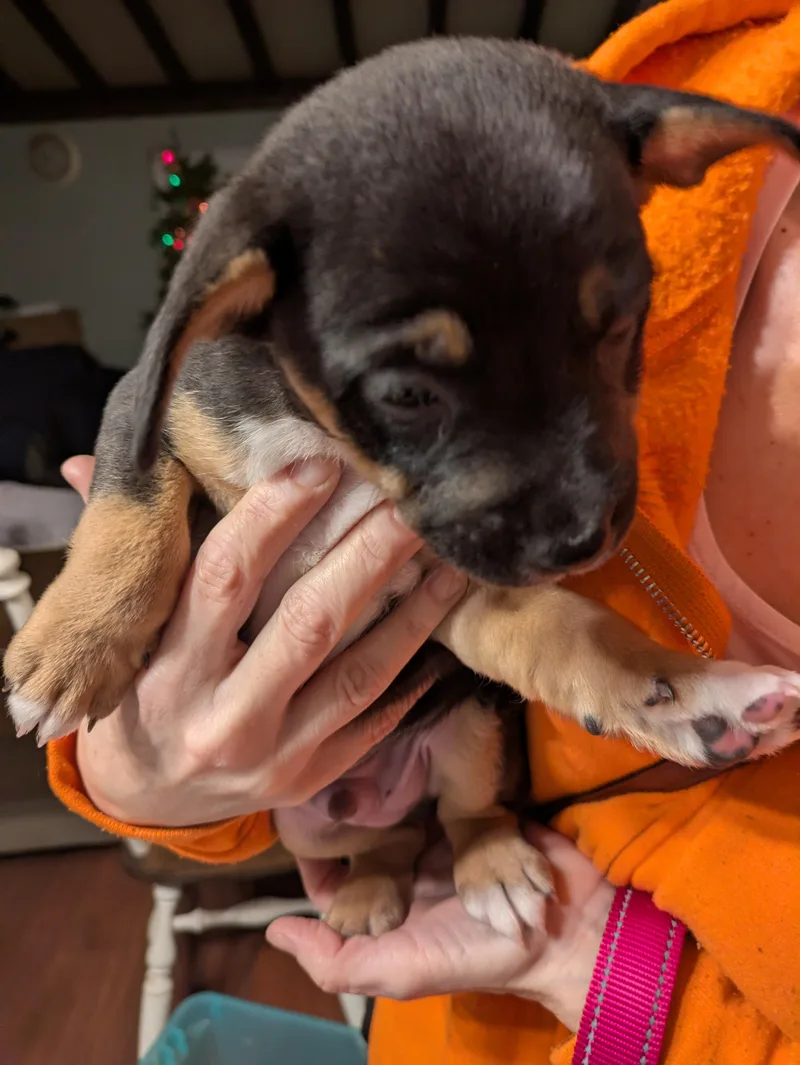 Valentino Aka Val