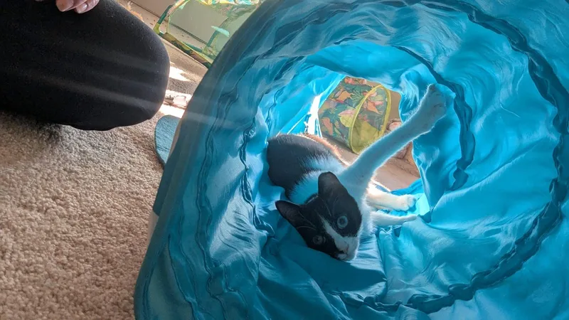 Jasper Boland thumbnail 2