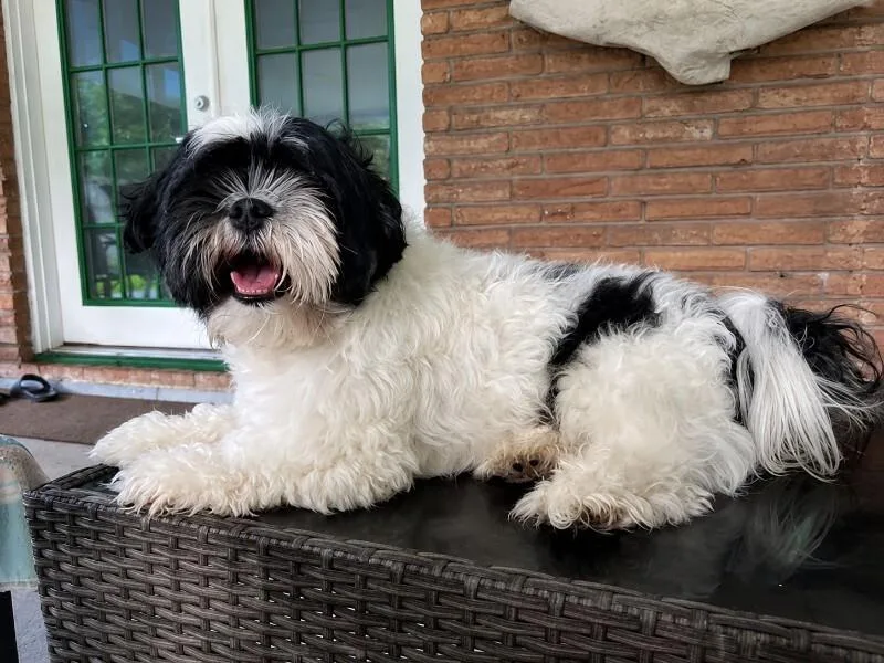 Lil Coco