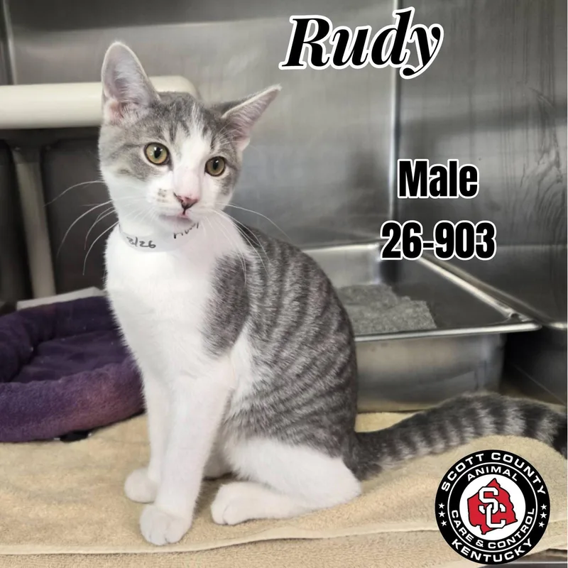 Rudy