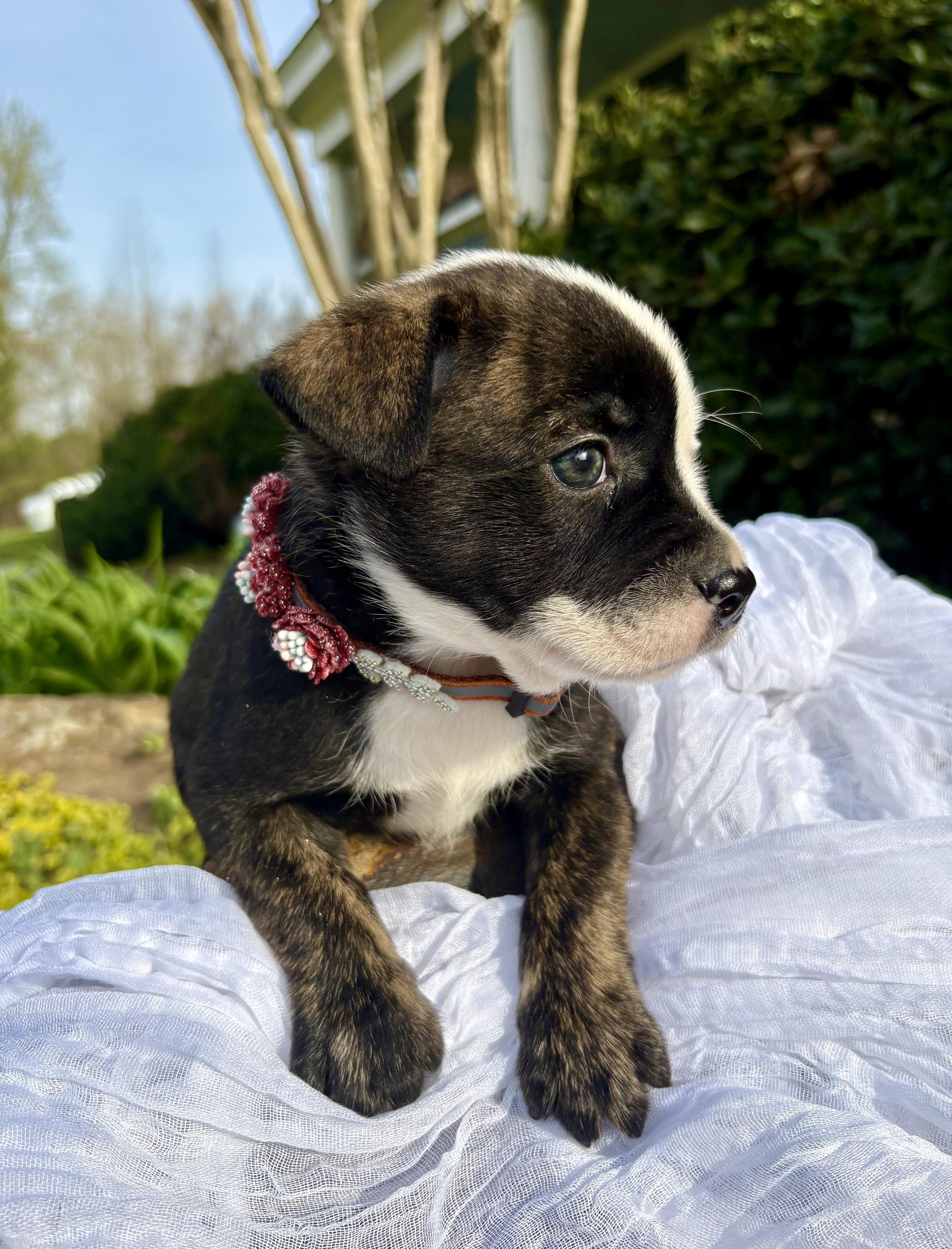 Juliette thumbnail 2