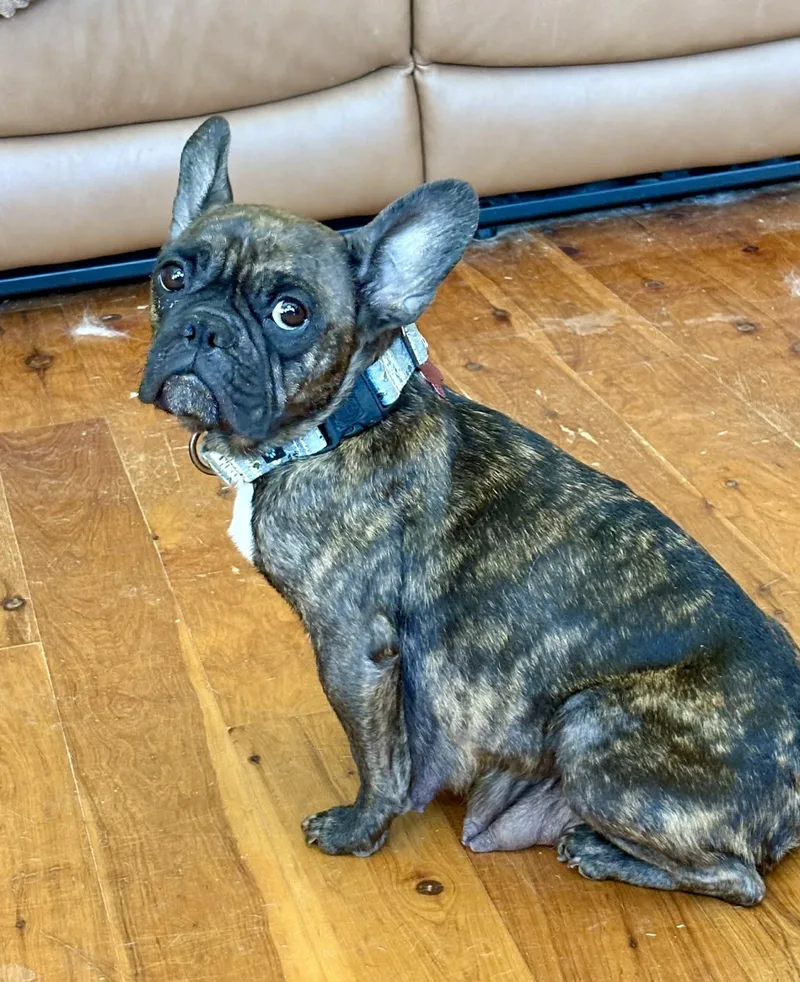 Juliette thumbnail 5