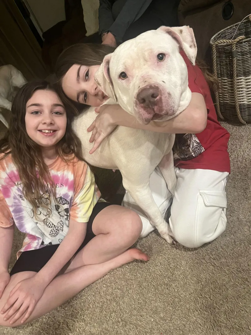 Sadie Mae thumbnail 3