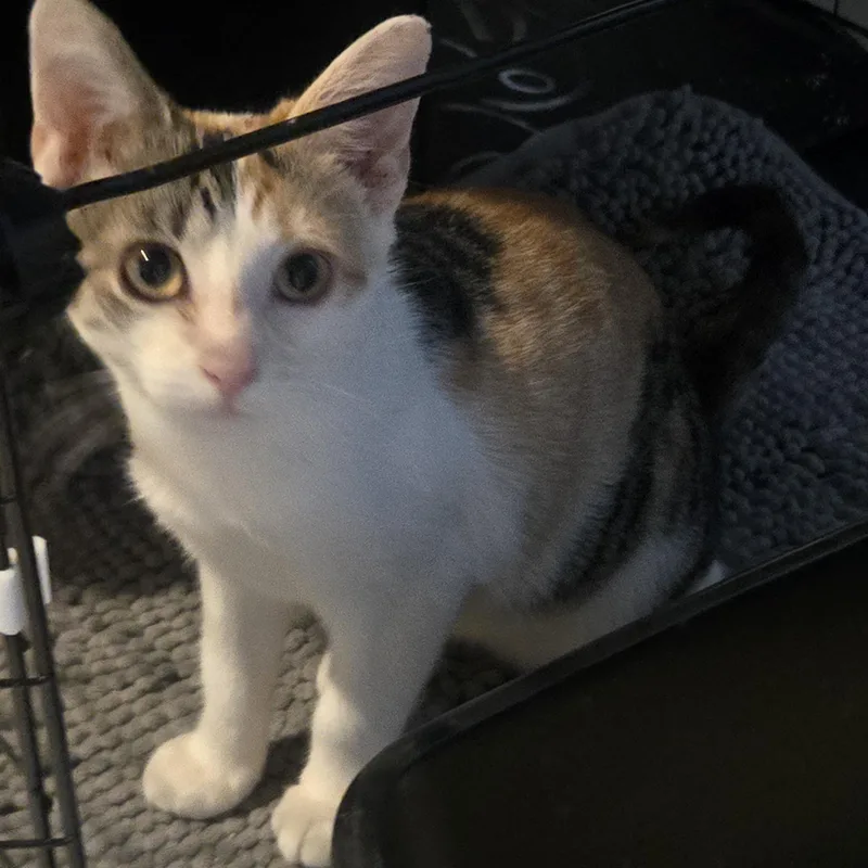 Gabby thumbnail 3