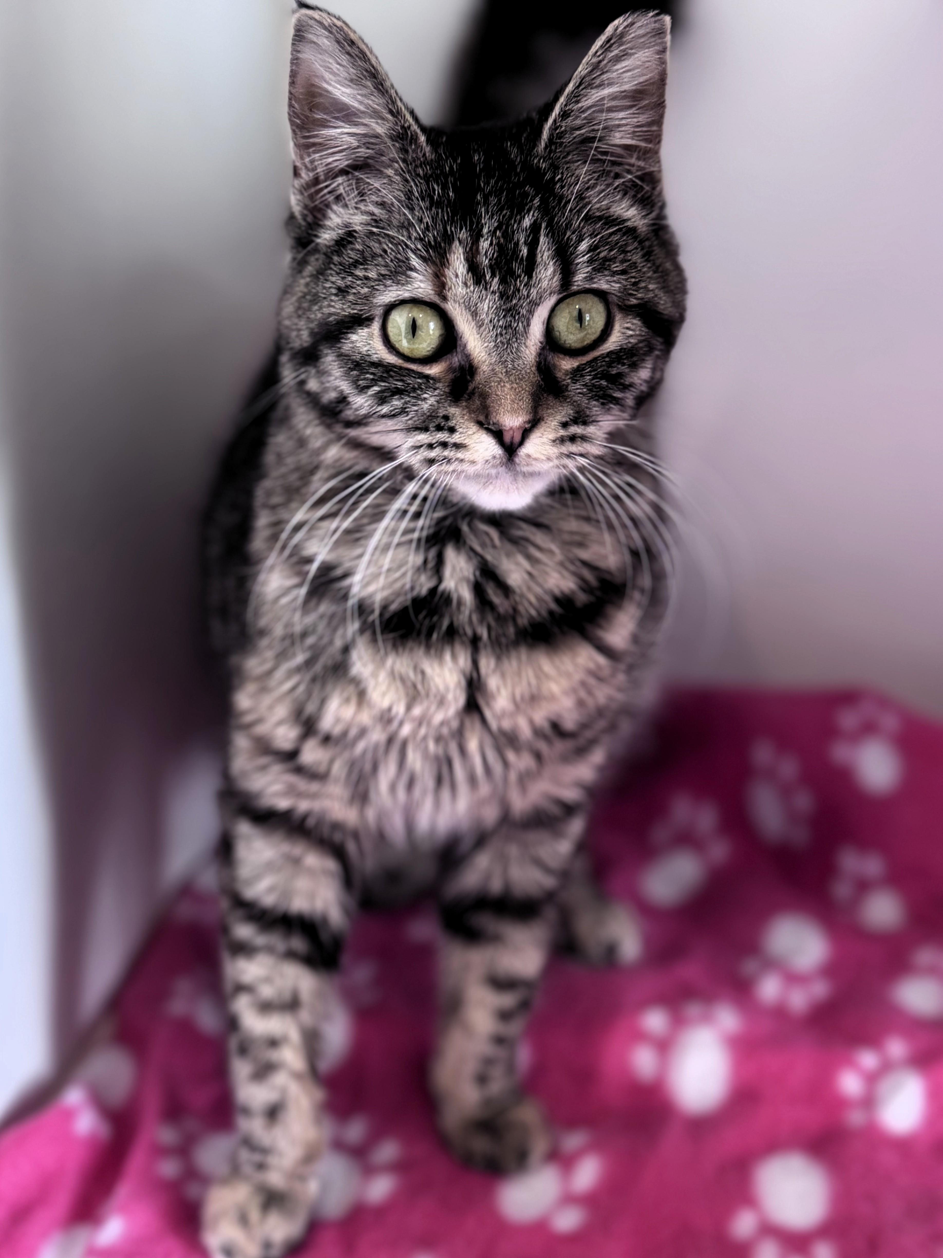 Francine thumbnail 2