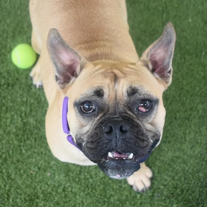 Ellie thumbnail 2