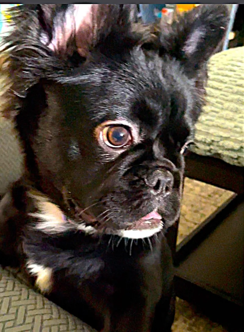 Stitch thumbnail 3