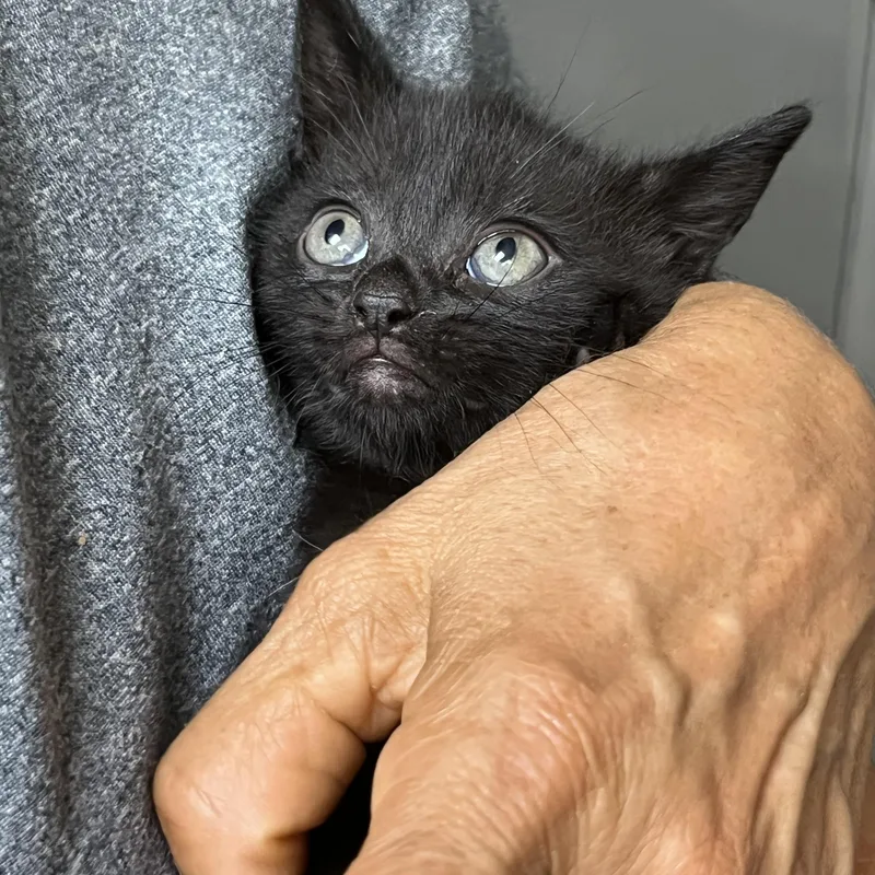 Baby Millie thumbnail 2