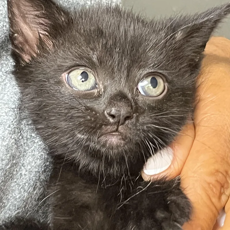 Baby Millie thumbnail 3