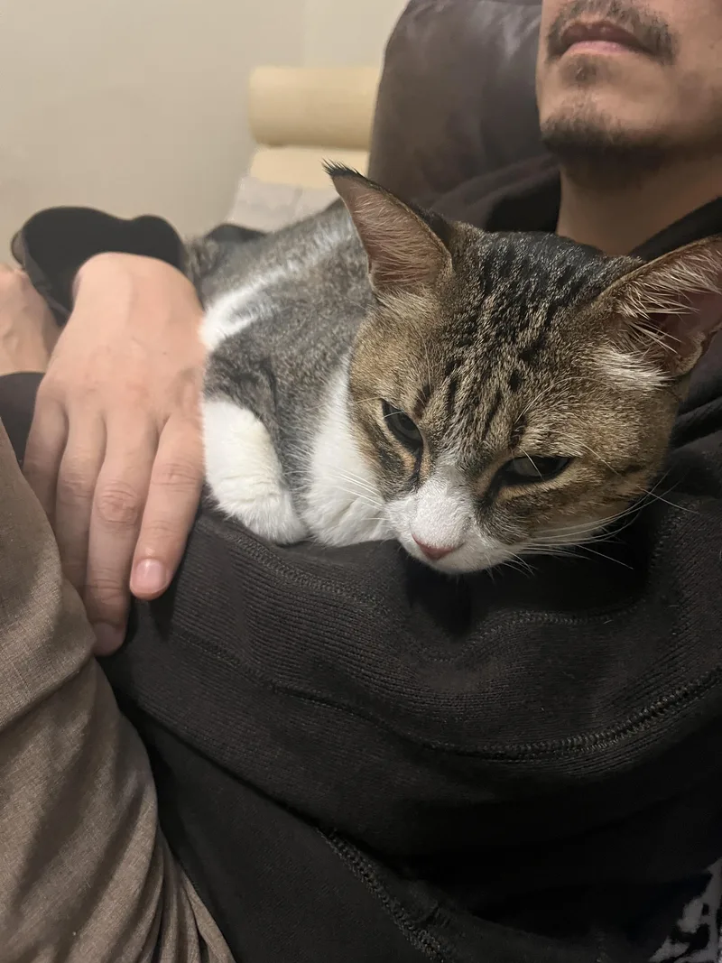 Earl Grey thumbnail 3