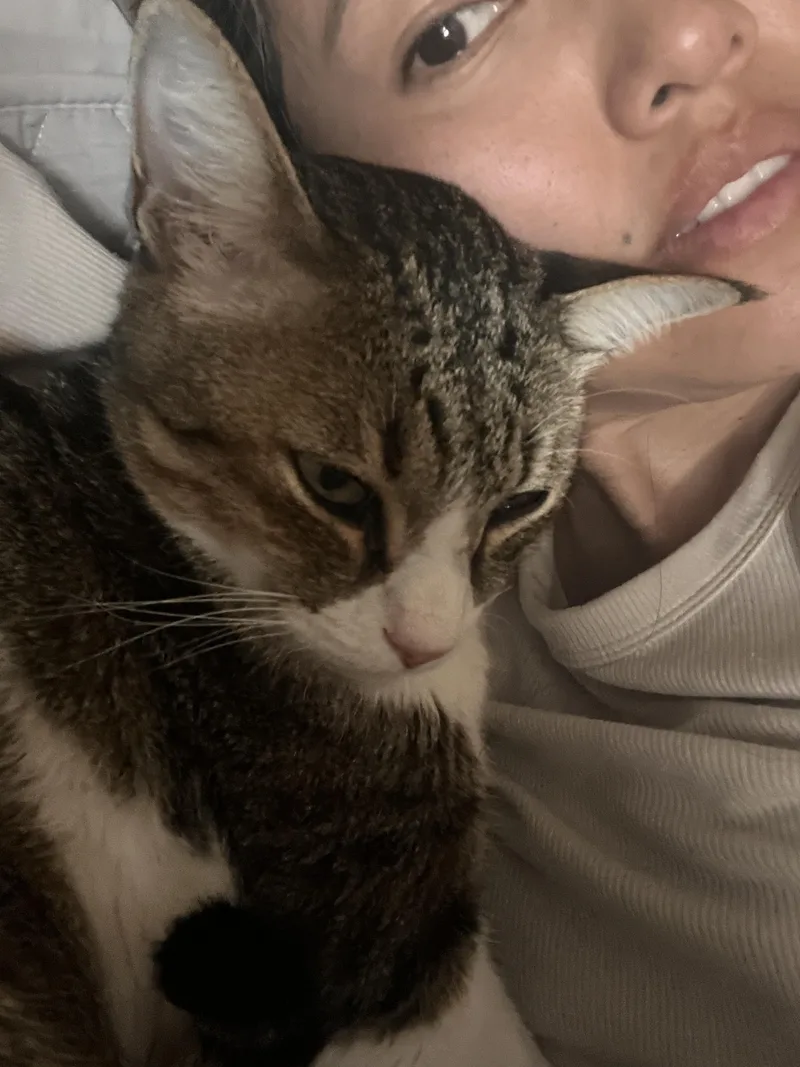 Earl Grey thumbnail 9