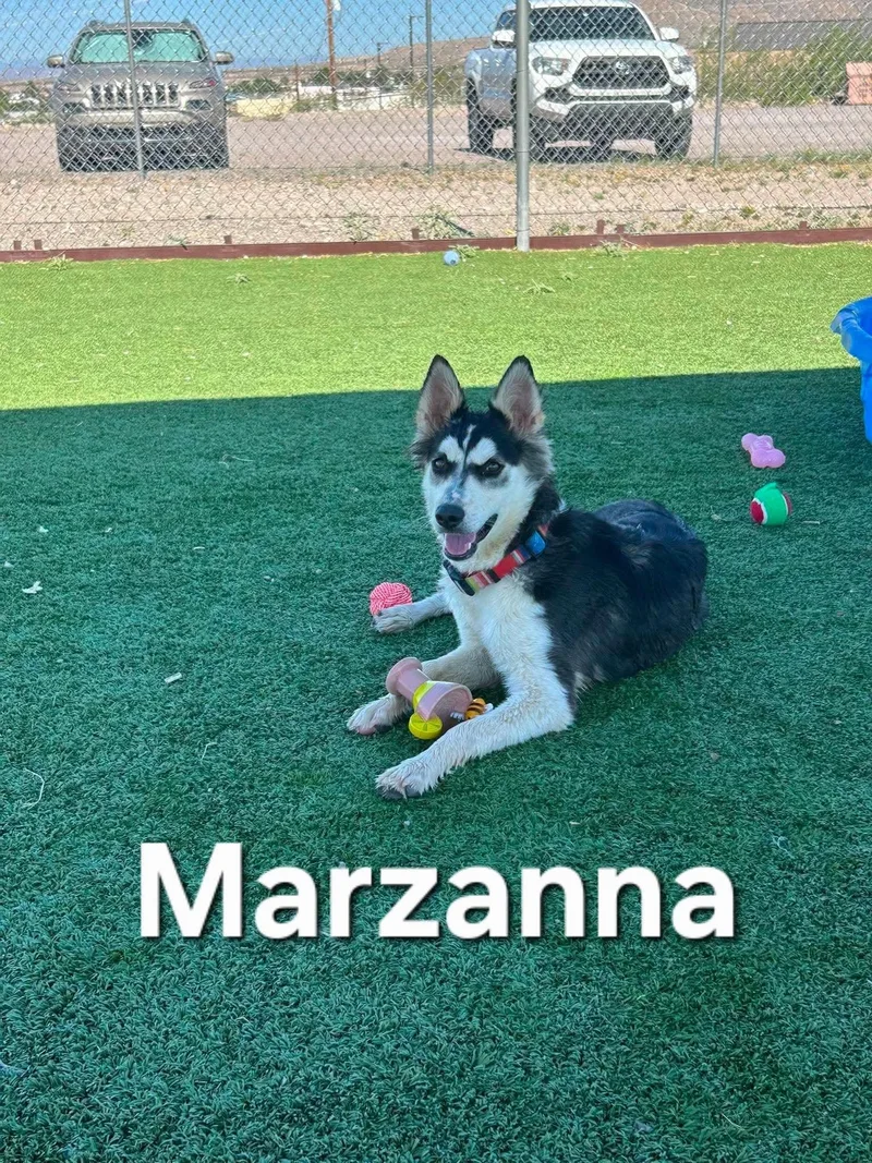 Marzanna thumbnail 6