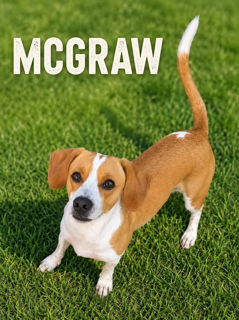 McGraw