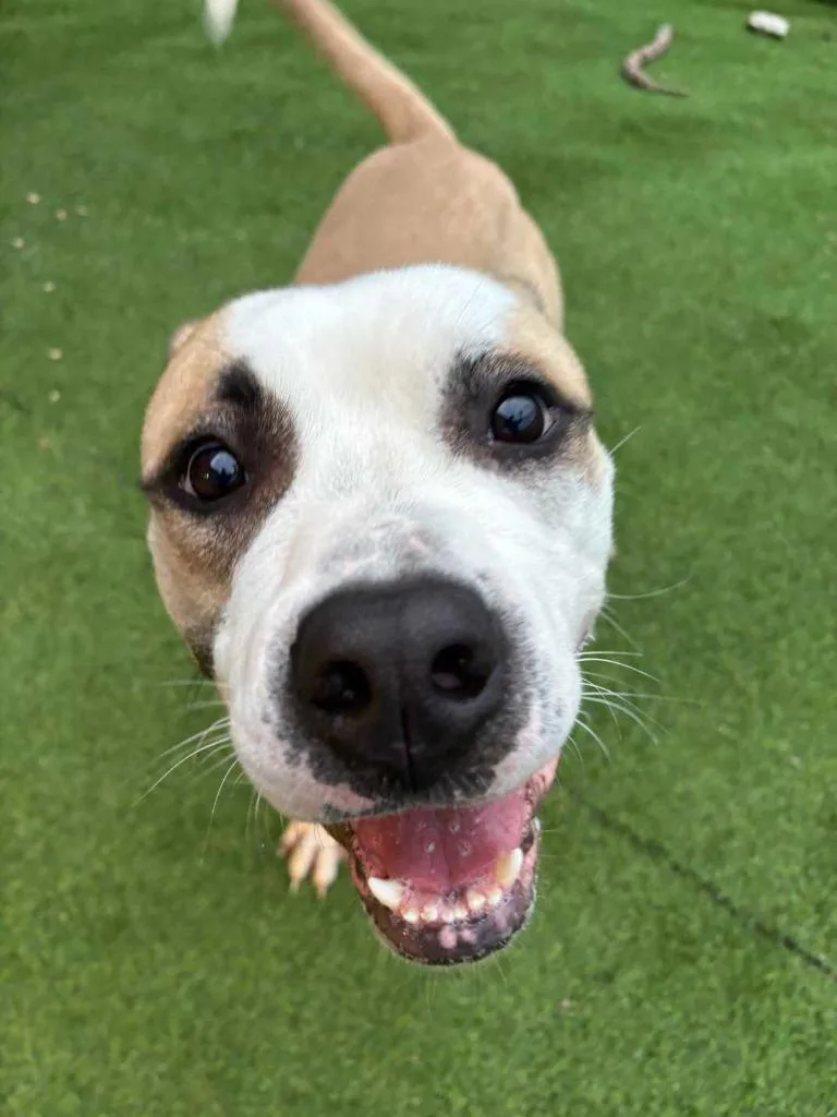 Sourdough thumbnail 2