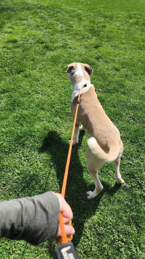 Sourdough thumbnail 3