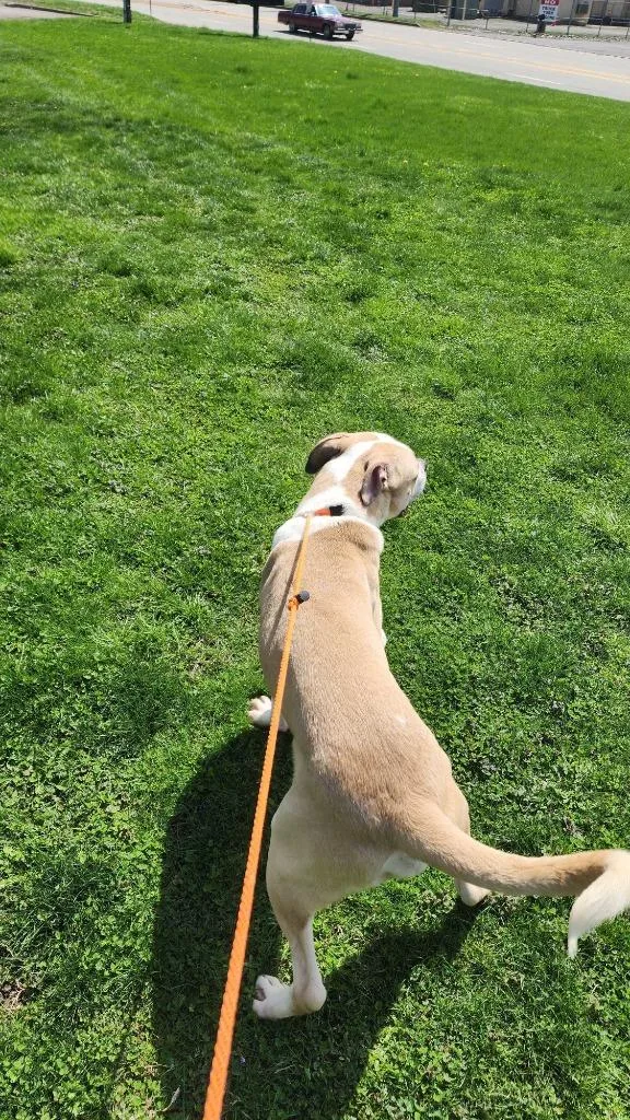 Sourdough thumbnail 4