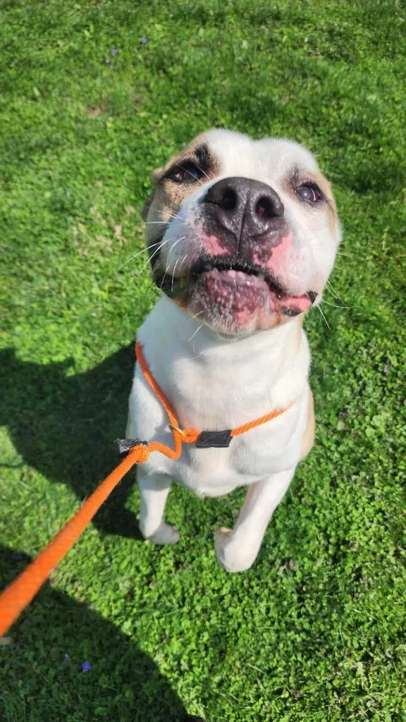 Sourdough thumbnail 5