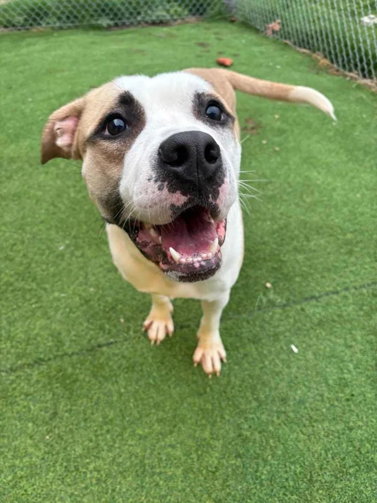 Sourdough thumbnail 6