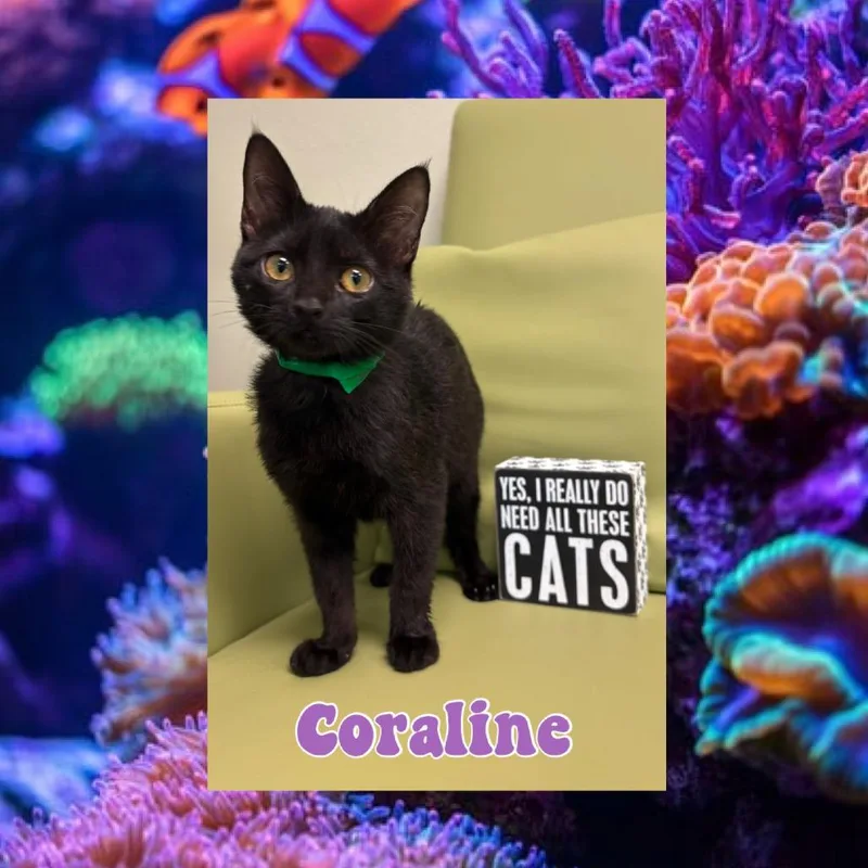 Coraline