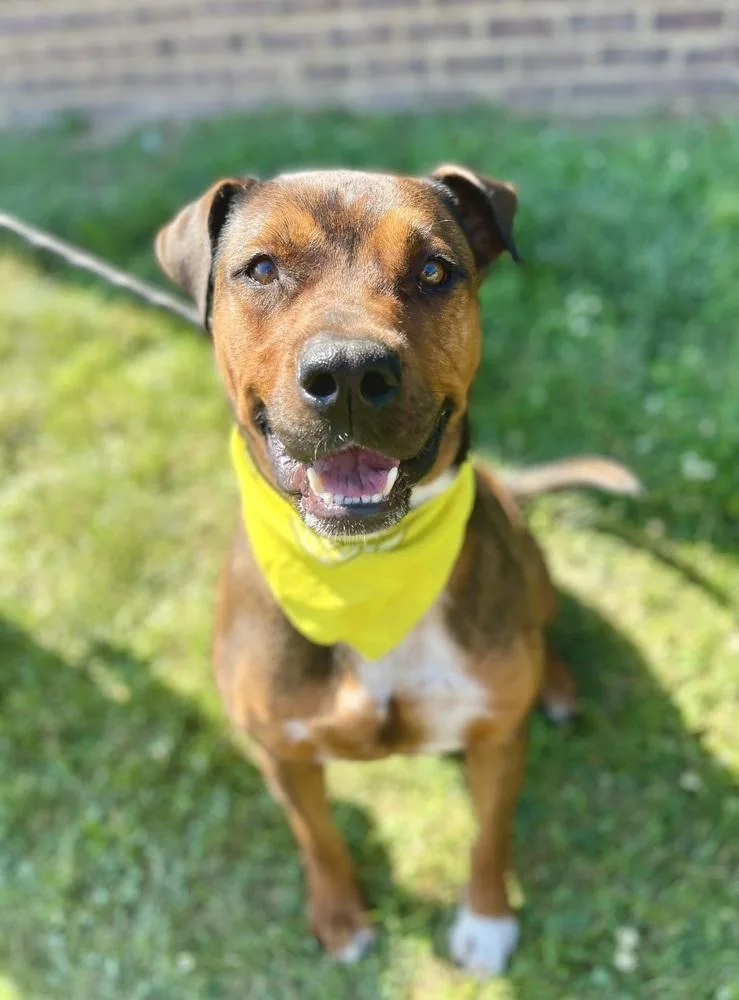 Holbrook thumbnail 2