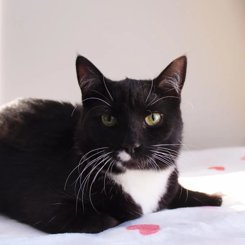 Bethanee thumbnail 4