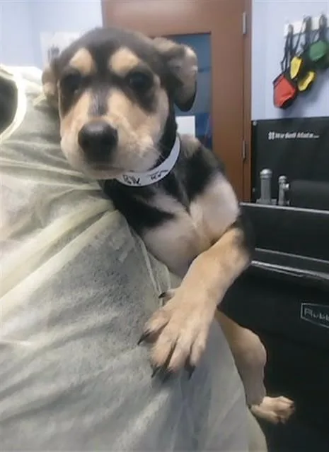Cool