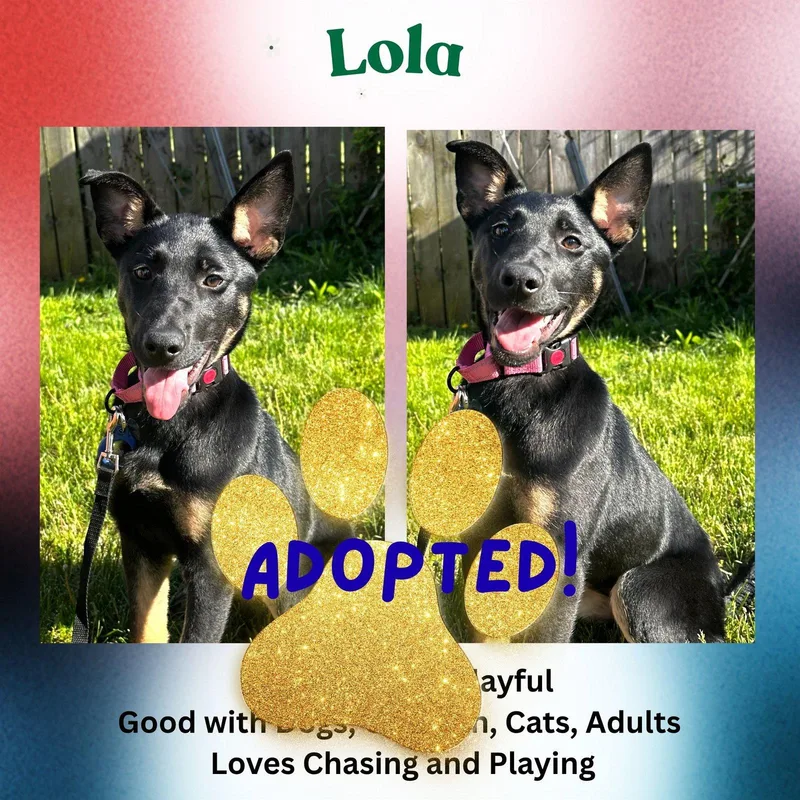 Lola thumbnail 3