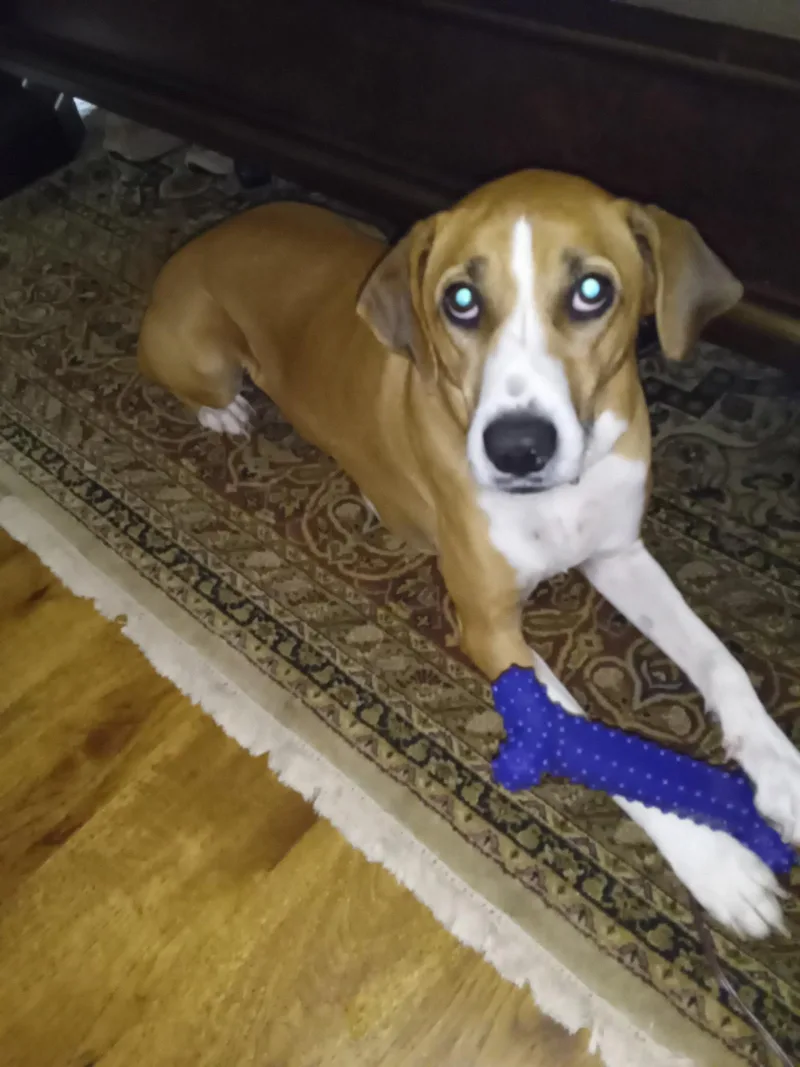 Ellie Mae thumbnail 2