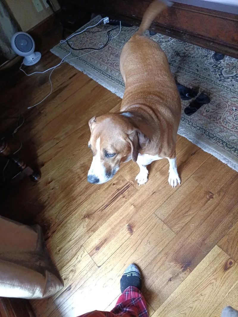 Ellie Mae thumbnail 3