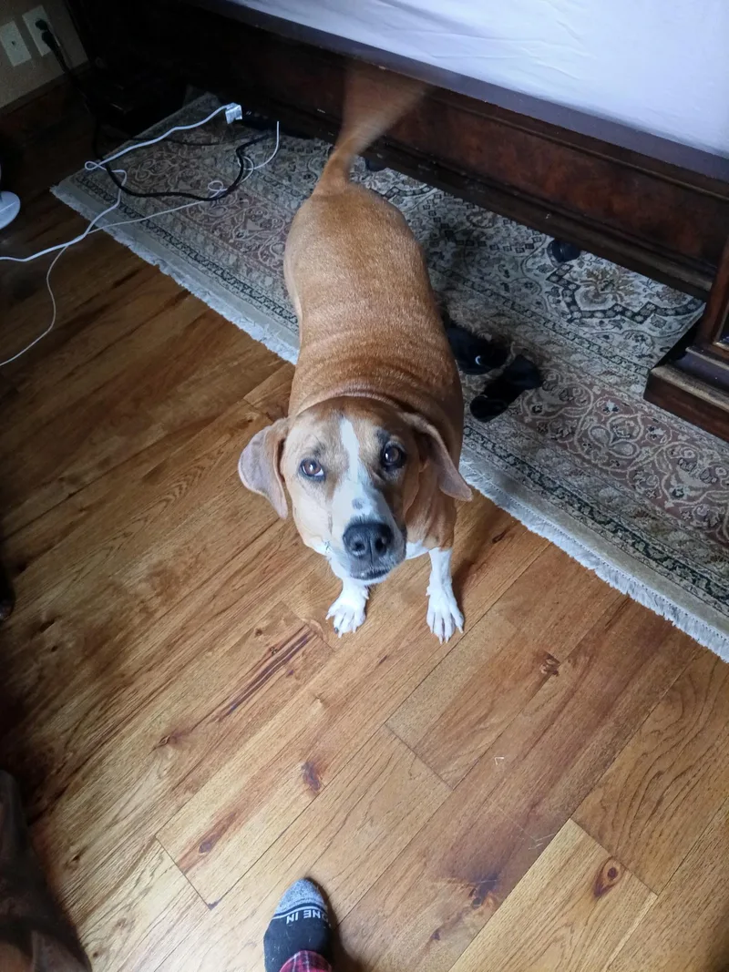 Ellie Mae thumbnail 4