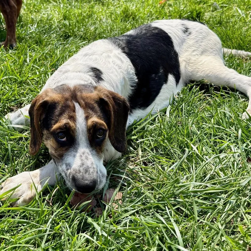 Christine thumbnail 3