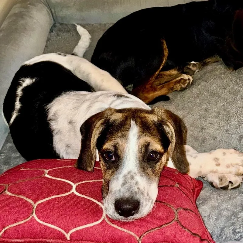 Christine thumbnail 4